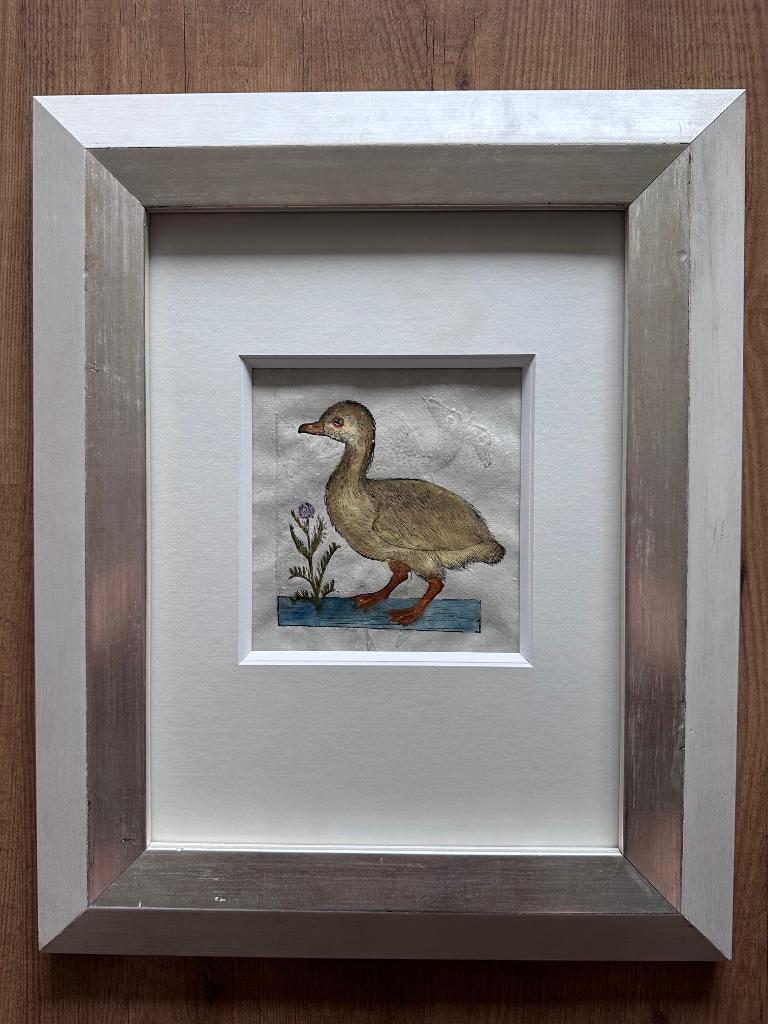 Eend ingekleurde gravure, Ophalen