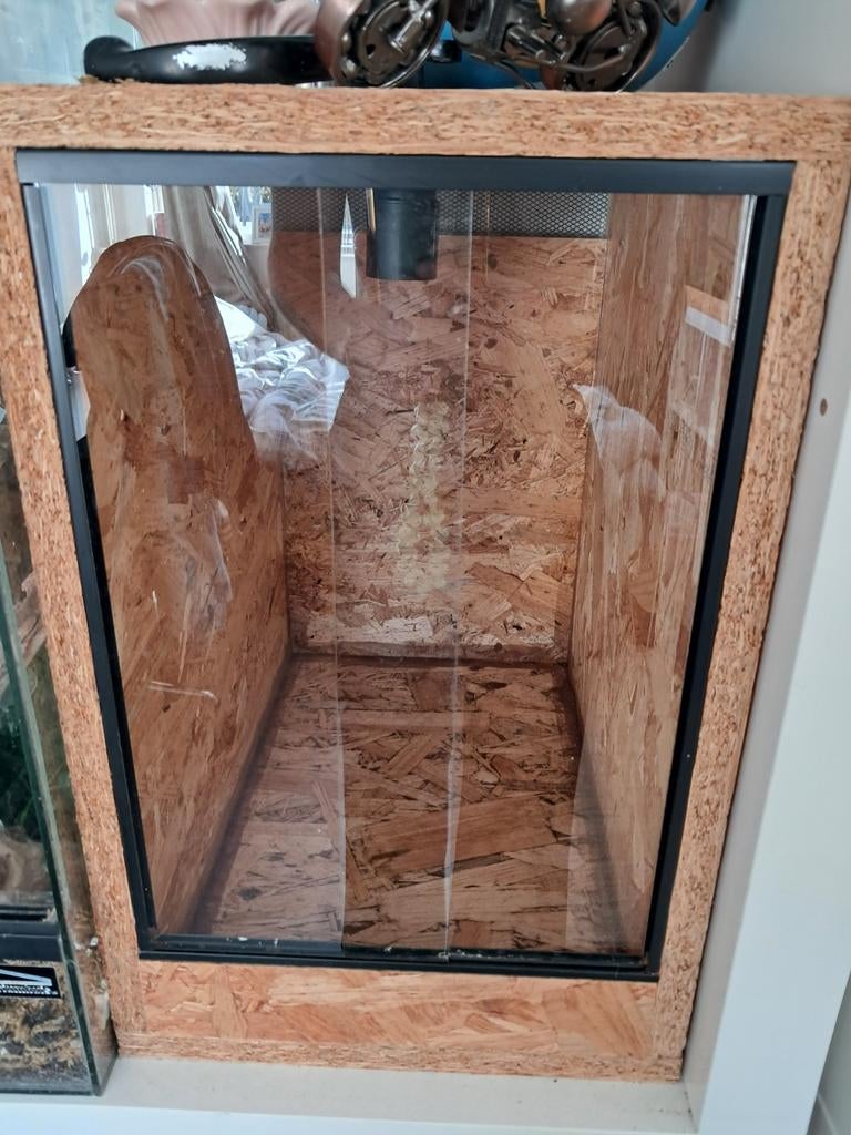 Osb terrarium, Dieren en Toebehoren, Ophalen, Zo goed als nieuw