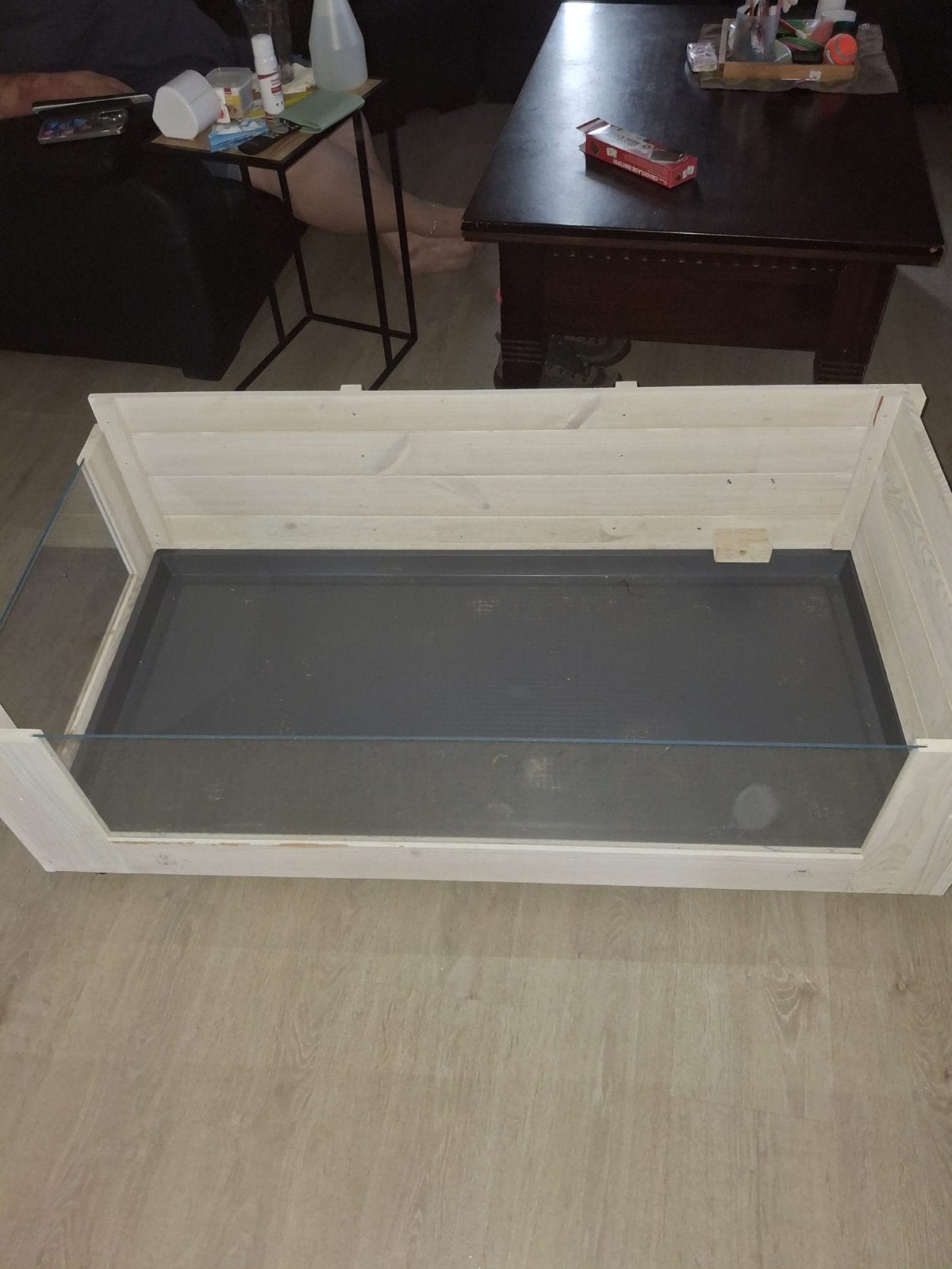 cavia hok, Mei, Geslacht onbekend, Cavia