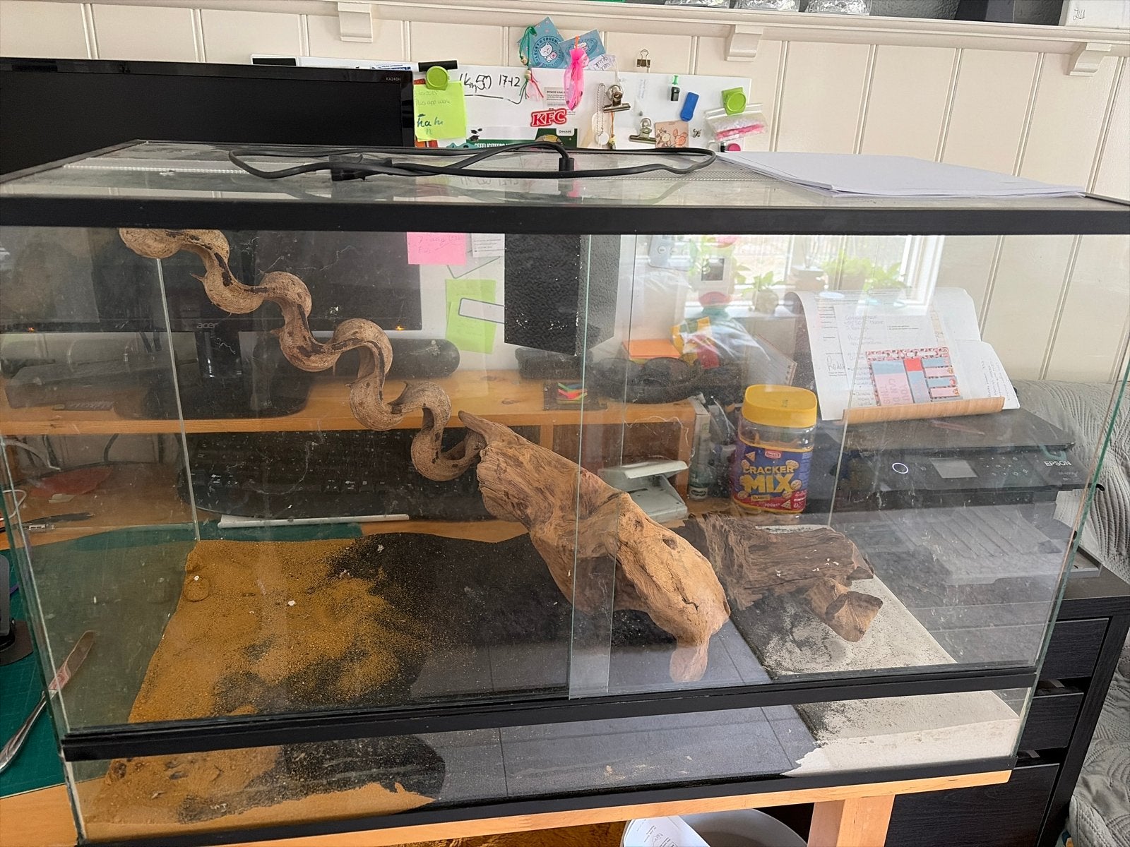 Terrarium met warmtelamp, Ophalen