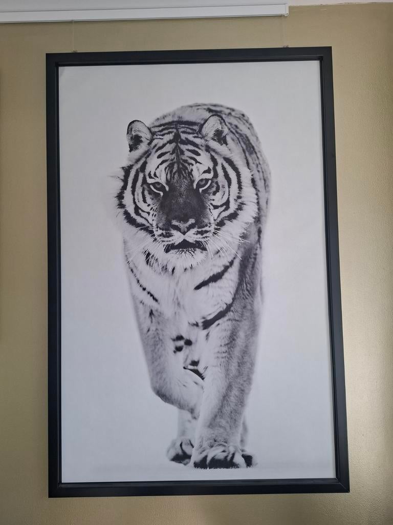 Ikea poster inclusief lijst, Verzamelen, Posters, Ophalen