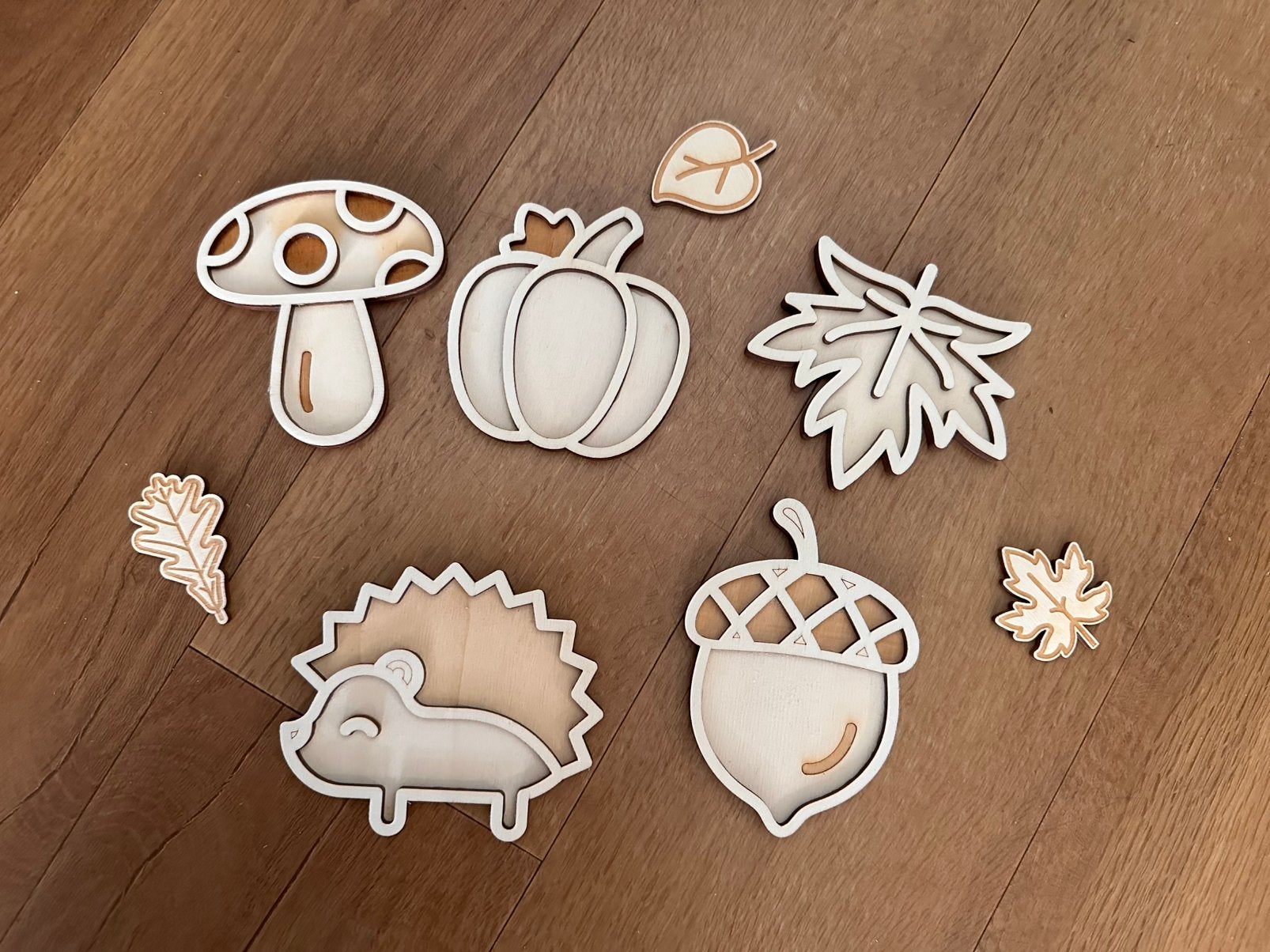 Sensorische herfst vulvormen, Ophalen of Verzenden, Nieuw, Ontdekken