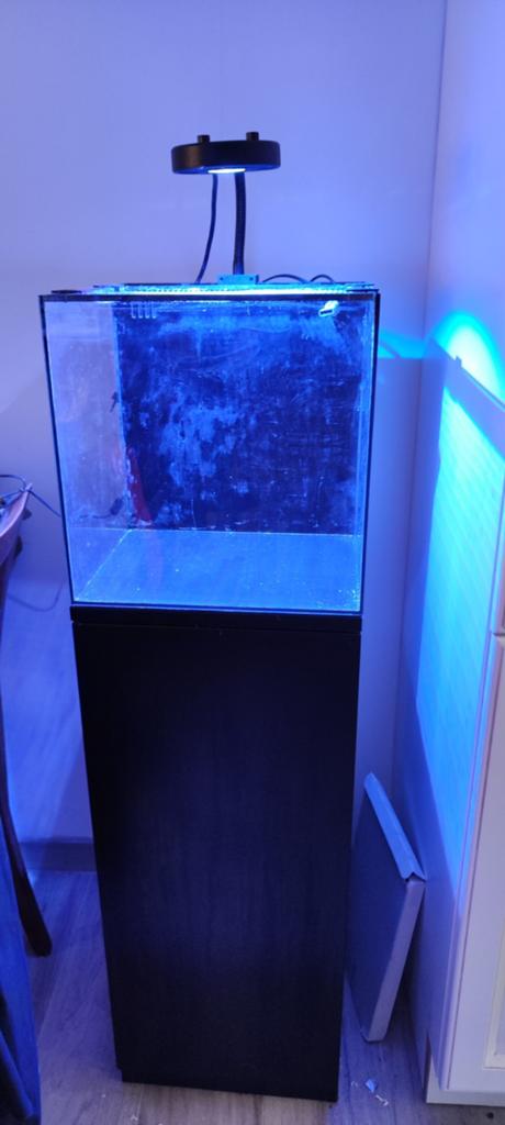 Waterbox Cube 10 ~ zeeaquarium met kast en apparatuur, Dieren en Toebehoren, Vissen | Aquaria en Toebehoren, Ophalen, Inclusief deksel