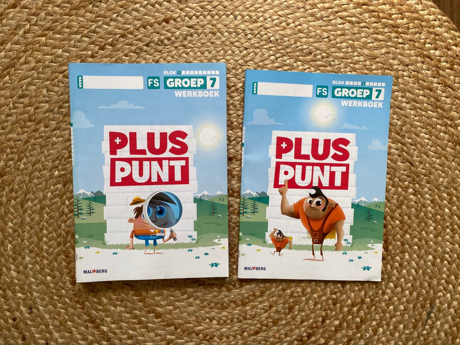 Pluspunt werkboeken groep 7 FS, Boeken, Schoolboeken, Ophalen of Verzenden, Nieuw, Overige niveaus