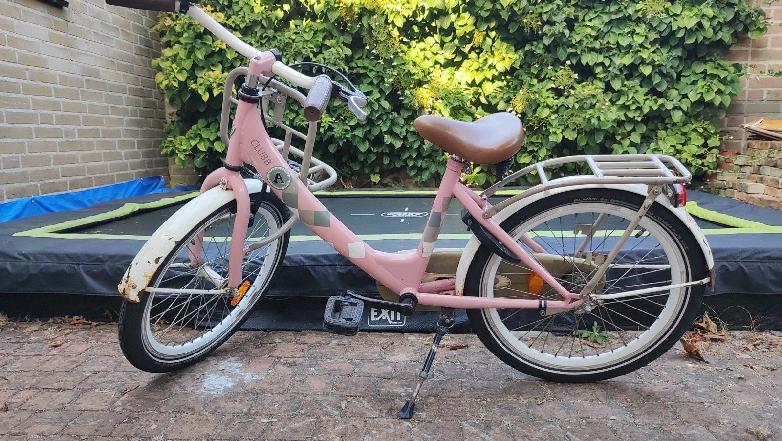 Alpina Clubb kinderfiets 20 inch - Roze, Ophalen, Terugtraprem, Alpina, 16 tot 20 inch