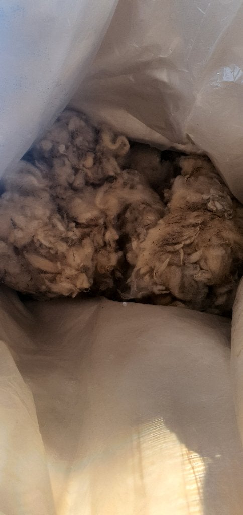 Ruwe schapenwol / mest voor de moestuin, Ophalen, Mest