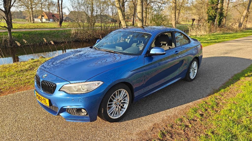 BMW 2-Serie 2.0 220I Coupe 136k km, Auto's, BMW, Particulier, 2-Serie, ABS, Adaptieve lichten, Airbags, Airconditioning, Bluetooth