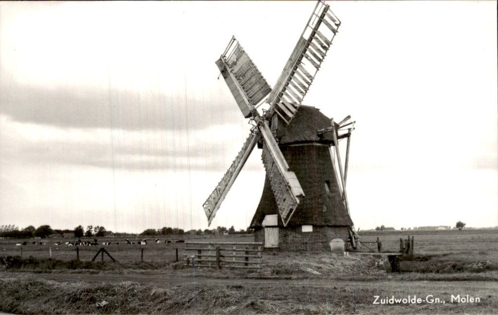Zuidwolde - Molen - Zijaanzicht, Ophalen of Verzenden, 1940 tot 1960, Ongelopen, Groningen