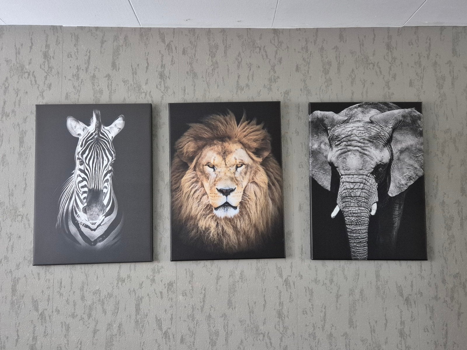 3 luik van  zebra,leeuw, olifant, Ophalen, Nieuw, Minder dan 50 cm, Schilderij