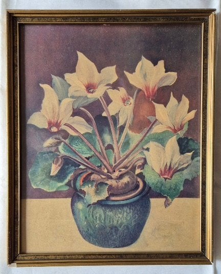 Jos Ruting, Kleurlitho, Cyclaam,  32 x 26 cm, achter glas, Ophalen