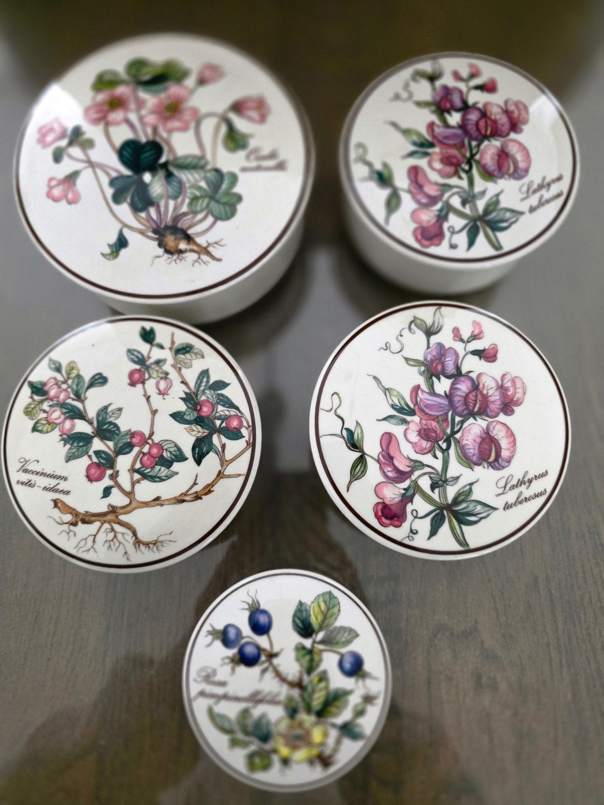 Villeroy en boch botanica dozen 5x, Ophalen of Verzenden
