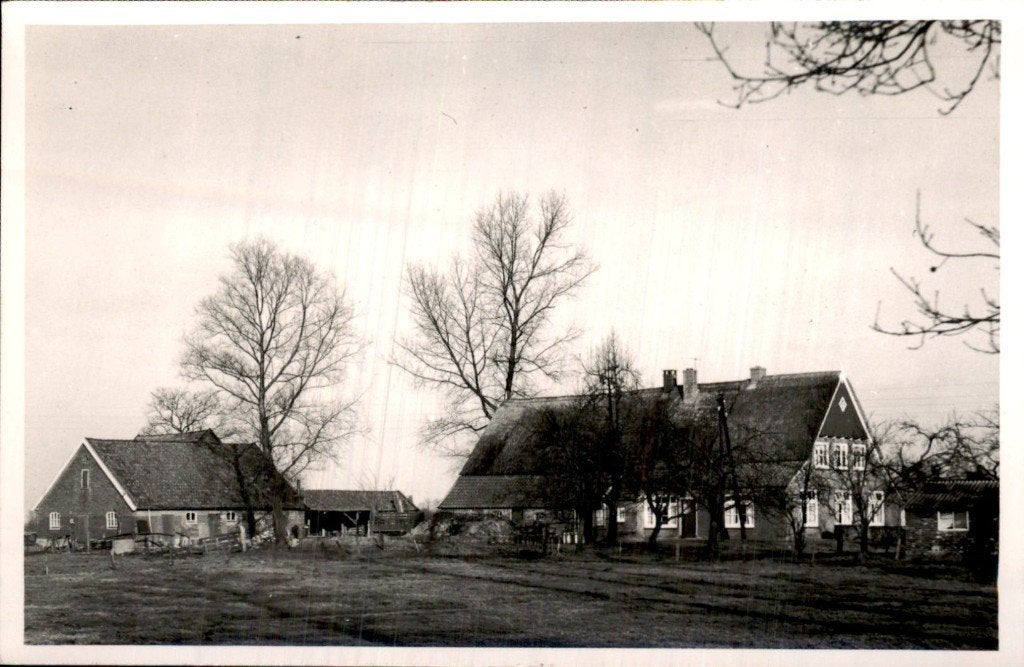 Boerderij - Voorgevel, Ophalen of Verzenden, 1940 tot 1960, Ongelopen, Drenthe