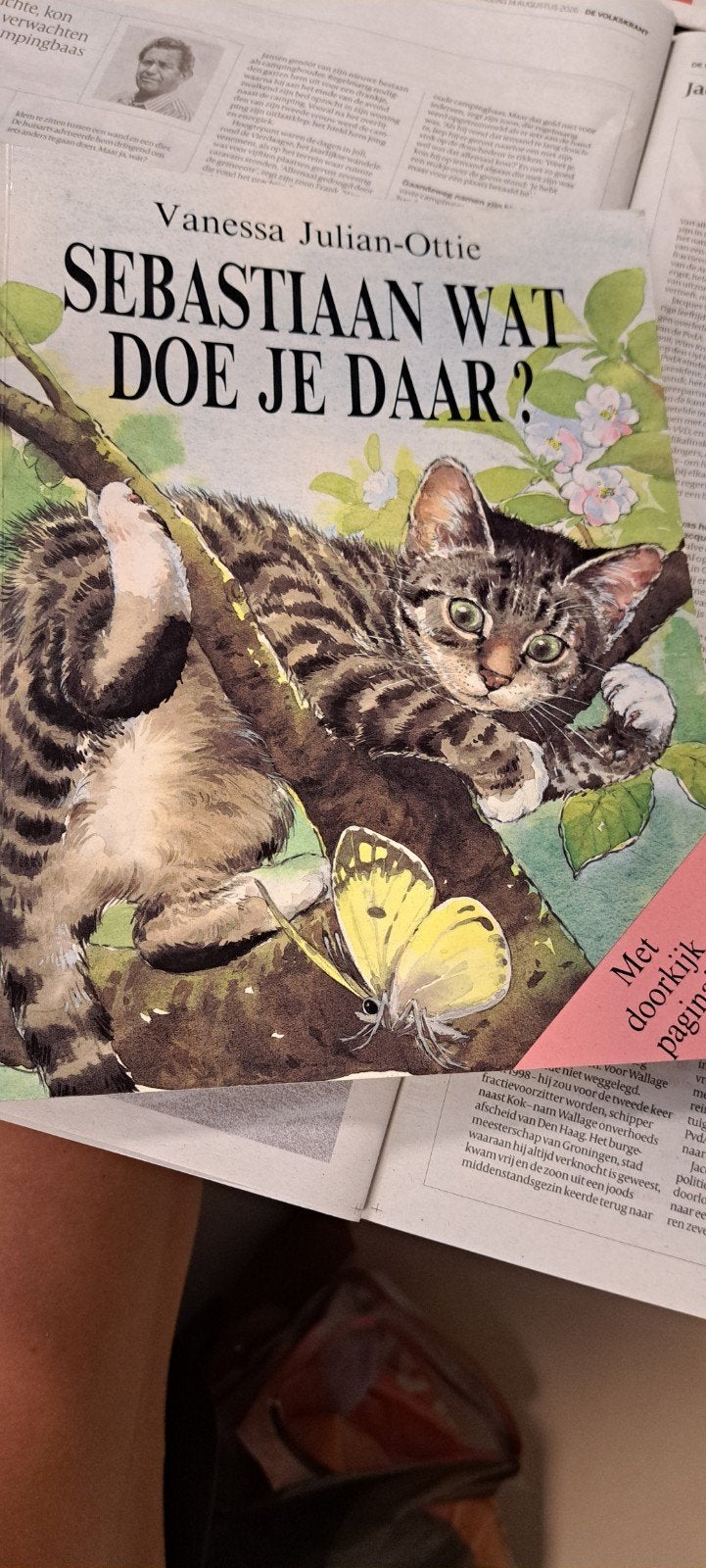 Sebastiaan, wat doe je daar?  met doorkijkpagina', Boeken, Fictie algemeen, Jongen of Meisje, Voorleesboek, Ophalen of Verzenden