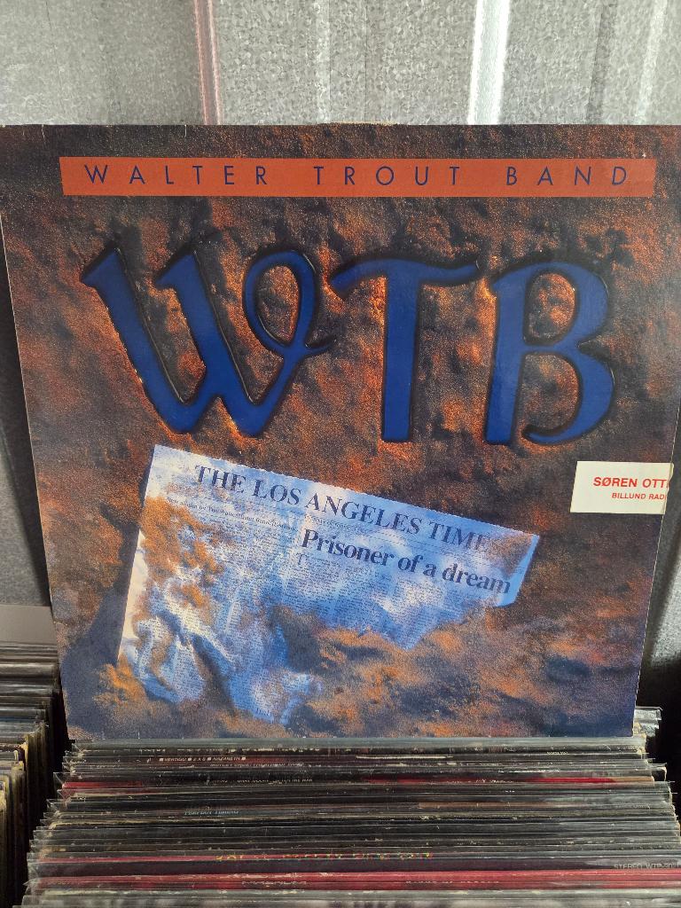 Blues lp WALTER TROUT BAND: PRISONER OF A DREAM, Gebruikt, Inclusief binnenhoes, Ophalen of Verzenden, 12 inch