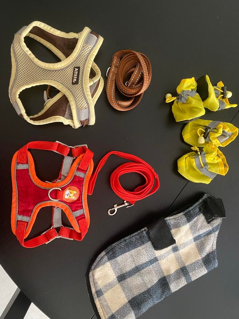 Essential Puppy Grooming, Training & Walking Set, Dieren en Toebehoren, Honden-accessoires, Ophalen, Zo goed als nieuw