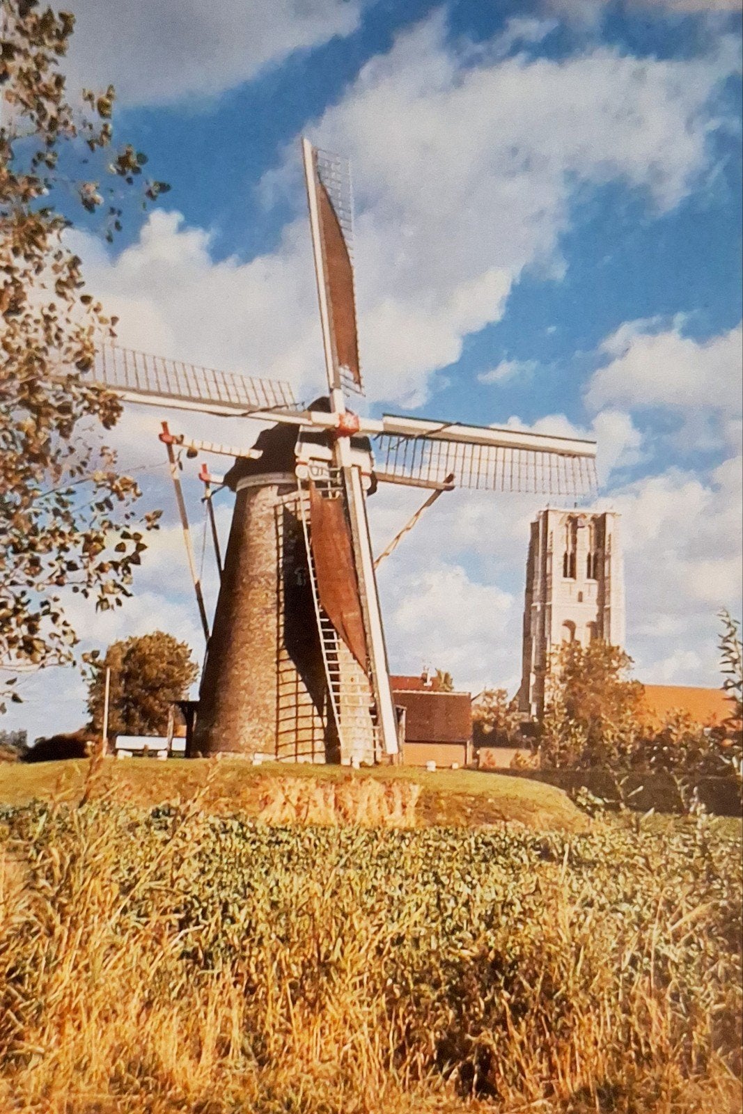 Goedereede - Zicht op molen en toren - 1985, Ophalen of Verzenden, 1980 tot heden, Ongelopen, Zuid-Holland