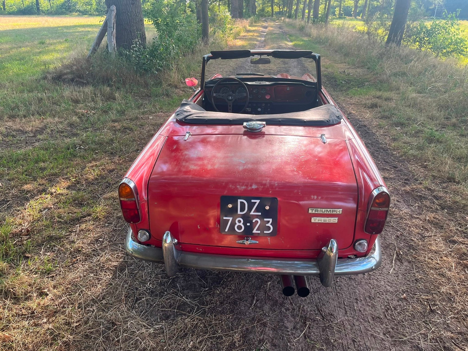Triumph TR250 Gereviseerde motor, foto 5