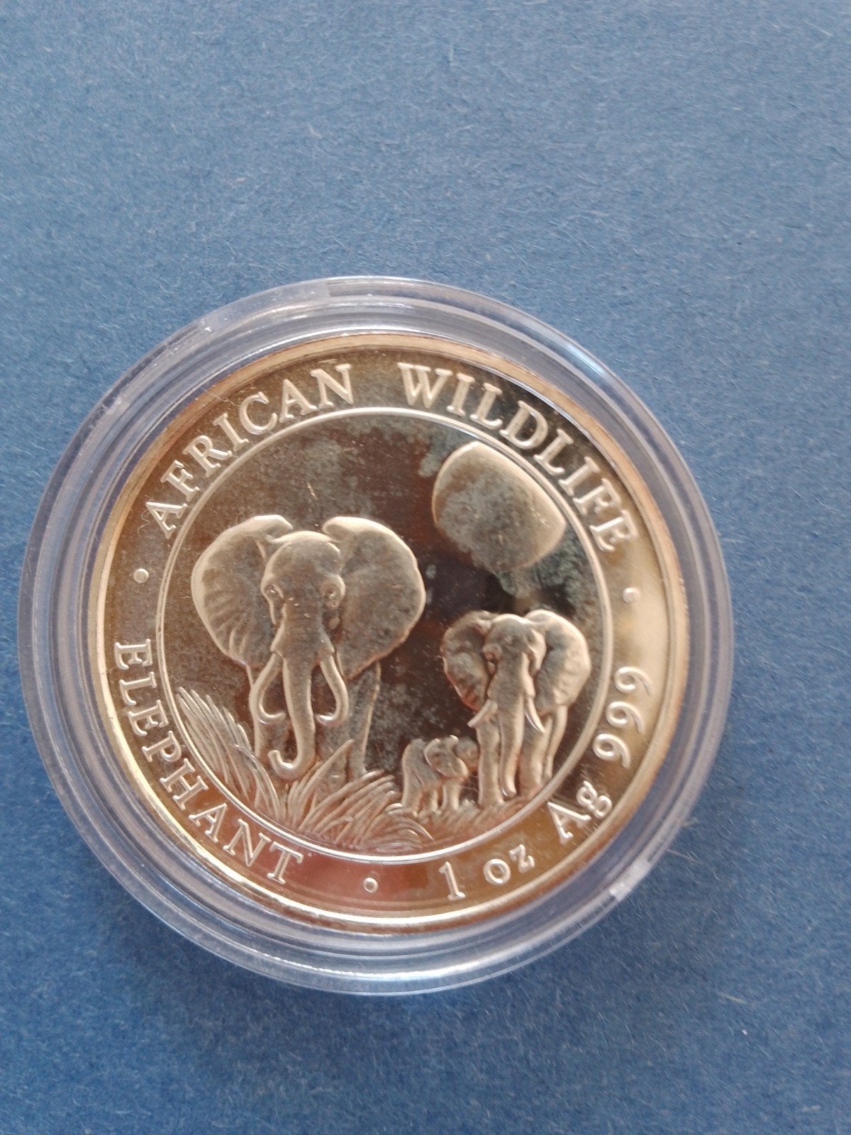 Somalische olifant 2014 1 oz zilver, Postzegels en Munten, Ophalen of Verzenden, Zilver