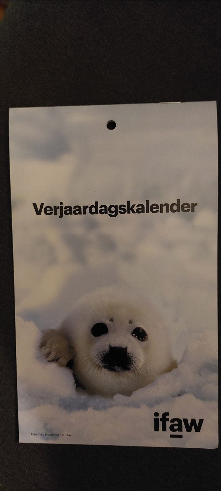 simpele  verjaardagskalender zeehondje  nieuw, Ophalen of Verzenden, Maandkalender, Nieuw