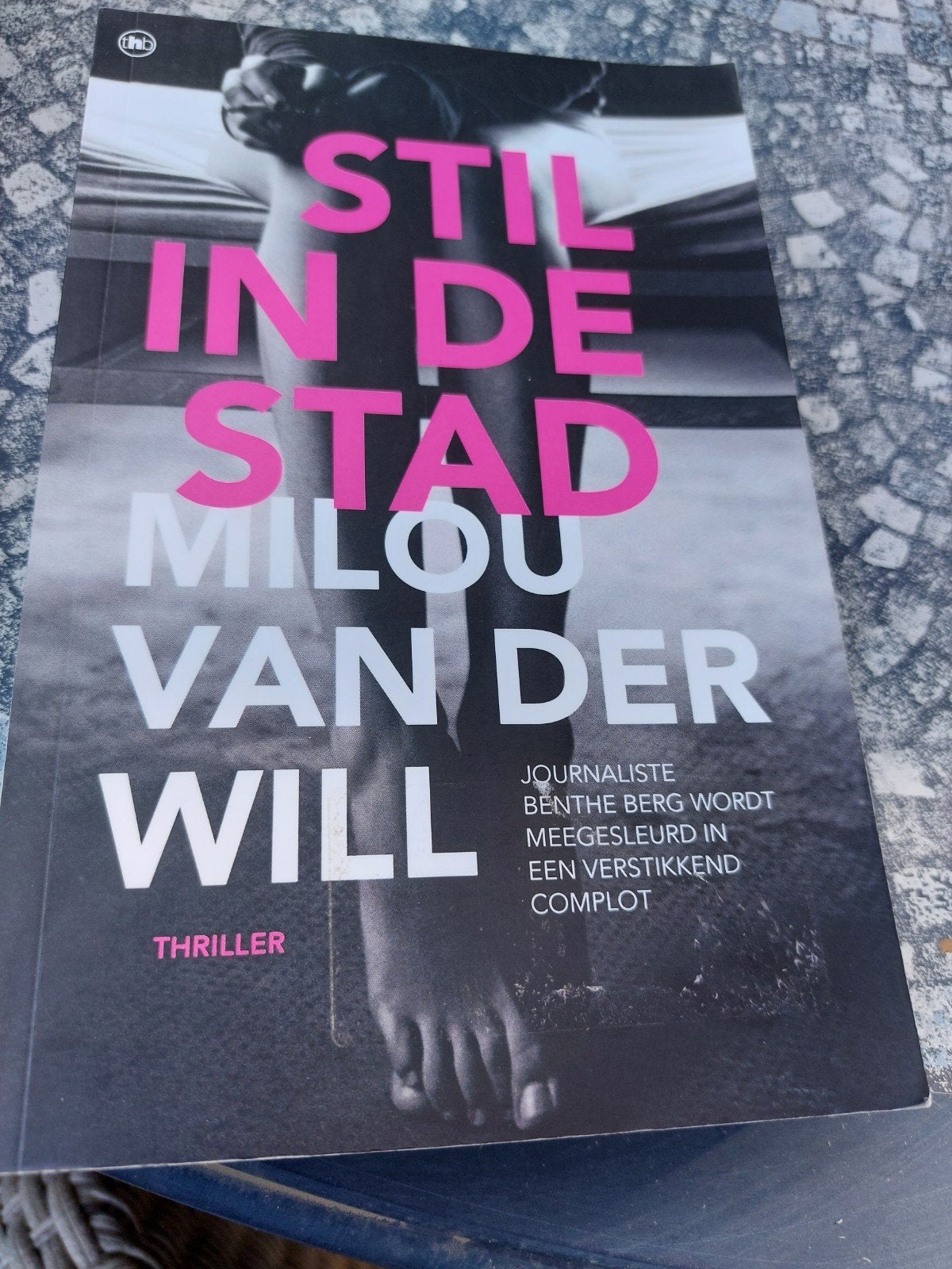 Stil in de Stad - Milou van der Will (Thriller), Boeken, Ophalen of Verzenden, Zo goed als nieuw, Milou van der Will, Nederland