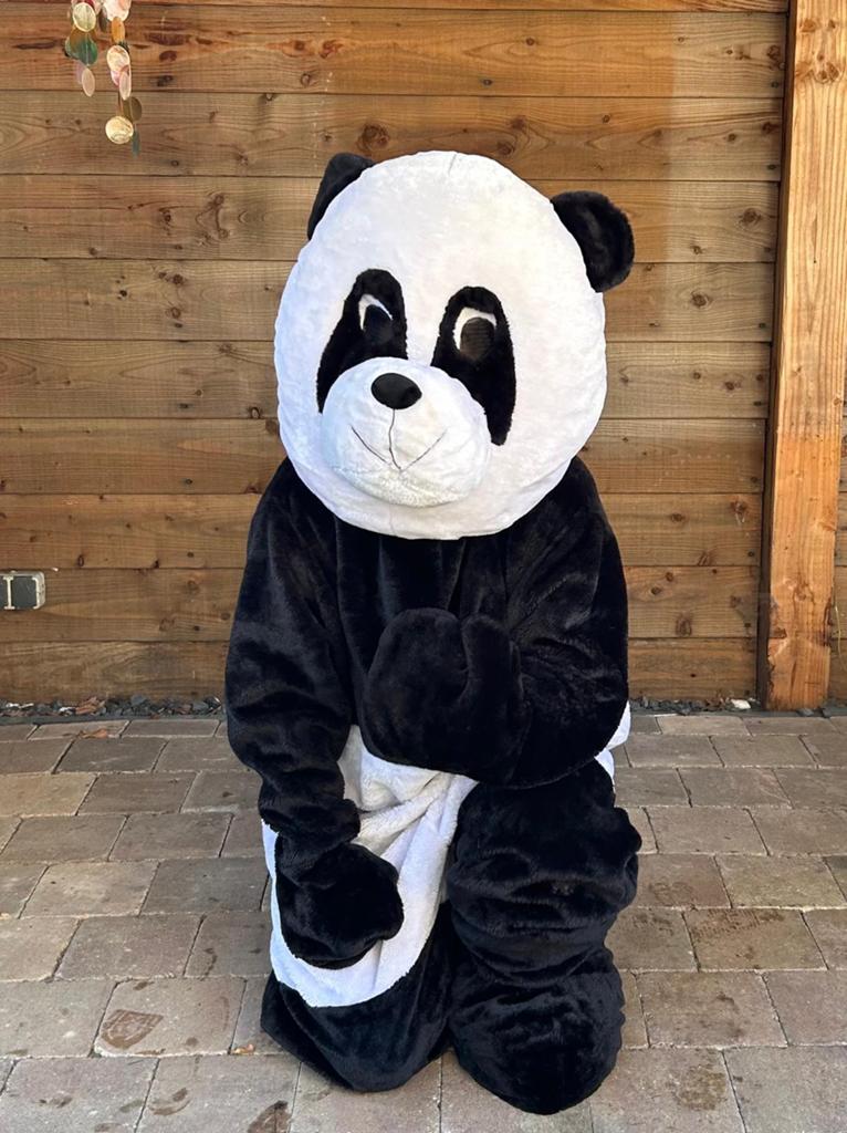 Mascotte kostuums pakken Panda en meer, Ophalen of Verzenden, Zo goed als nieuw