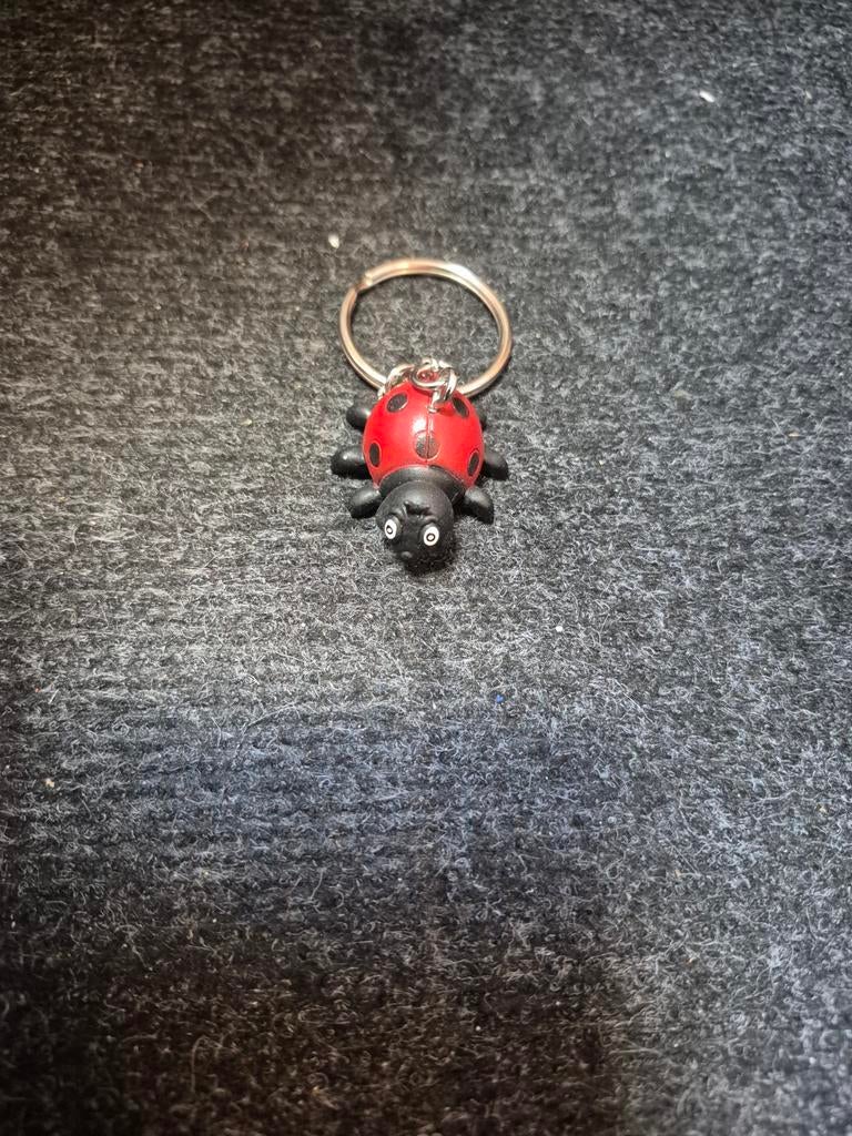 Lieveheersbeestje sleutelhanger, Ophalen of Verzenden