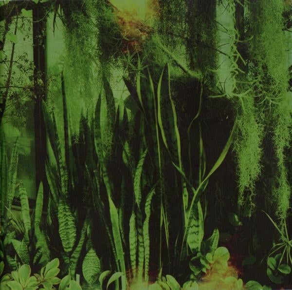 the Promise Ring, Ophalen of Verzenden, Gebruikt, Poprock