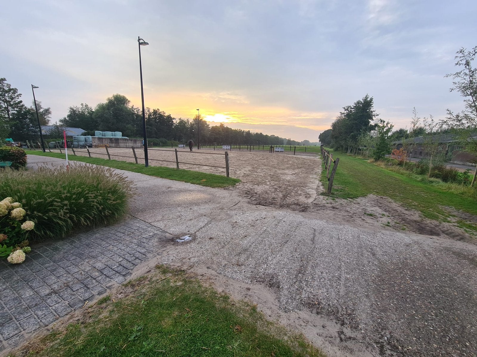 Opfok plekje merrie veulen., Dieren en Toebehoren, Opfok