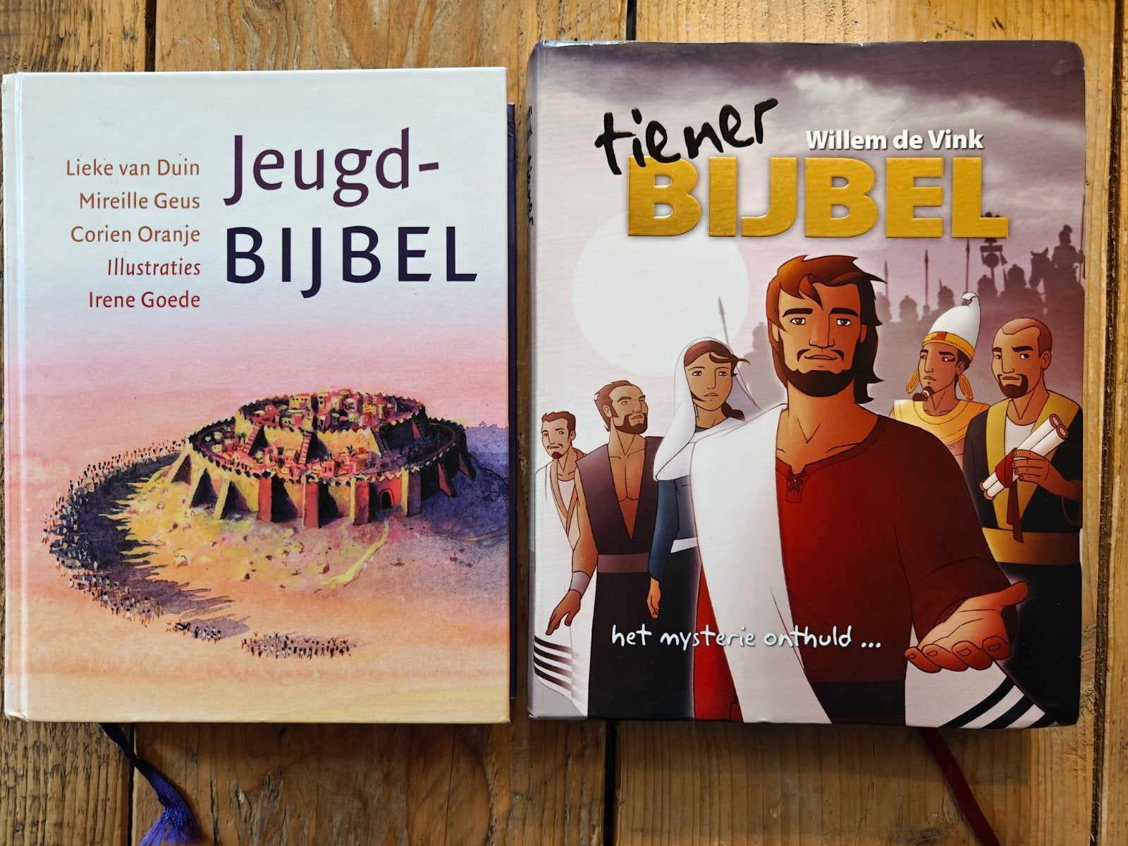 Jeugdbijbel/TienerBijbel, Boeken, Ophalen of Verzenden, Zo goed als nieuw