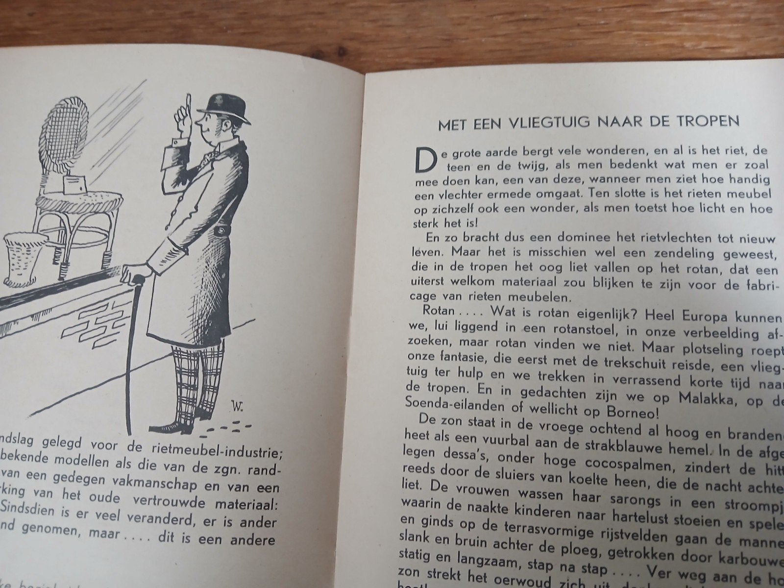 Het rieten meubel - Dingen om ons heen, Boeken, Ophalen of Verzenden, Gelezen, H.L. van Blaricum, Interieur en Design
