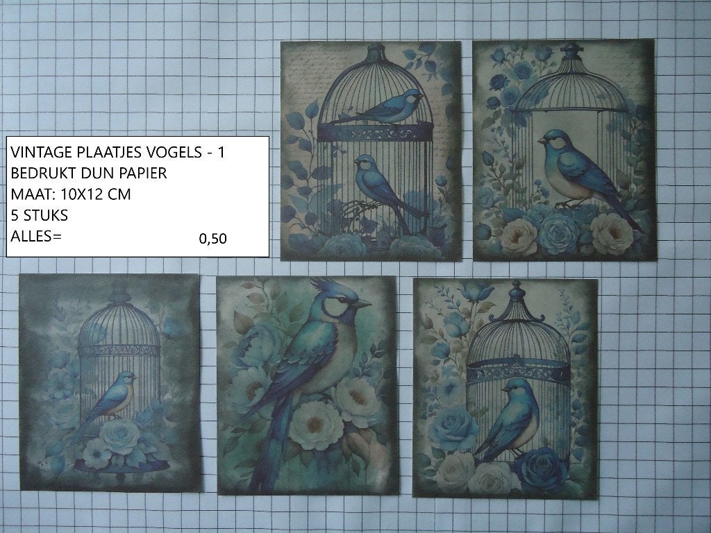 ❤️❤️vintage plaatjes vogels 1 ( alleen verzenden, Ophalen, Nieuw, Dieren, Knipvel