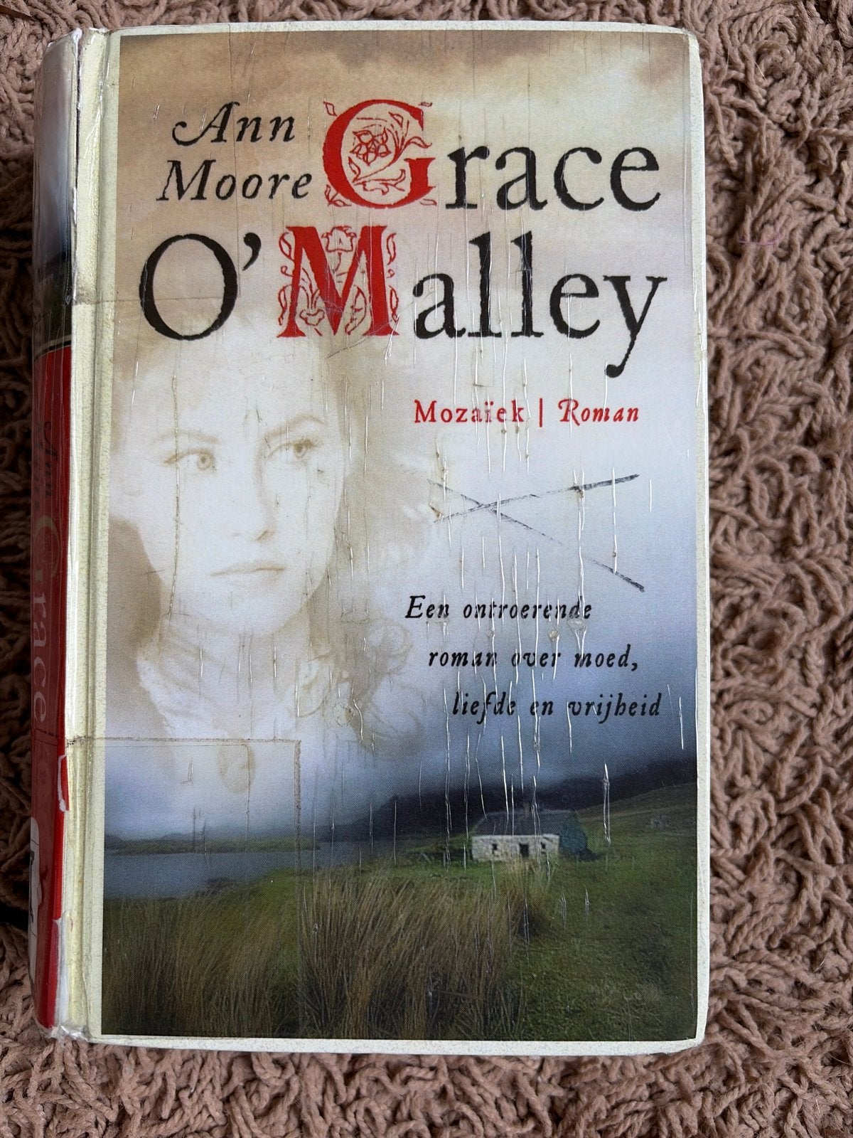 Grace O'Malley - Ann Moore (Afgeschreven bibliotheekboek), Ophalen of Verzenden, Gelezen, Nederland