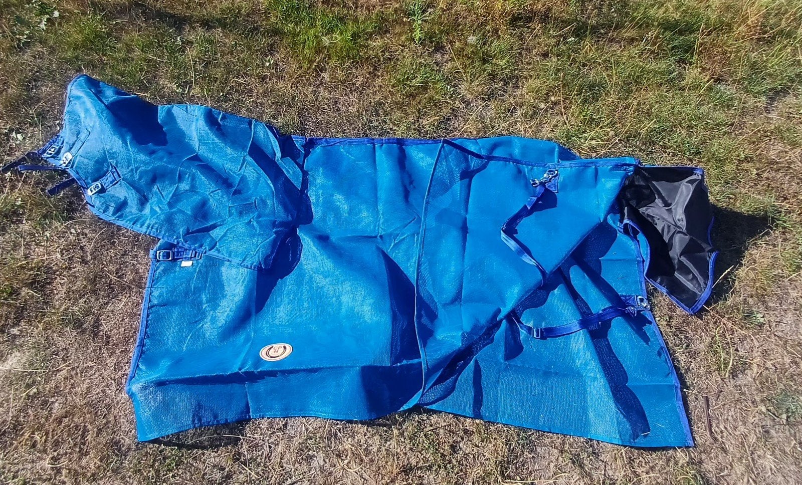 Vliegendeken, Dieren en Toebehoren, Ophalen of Verzenden