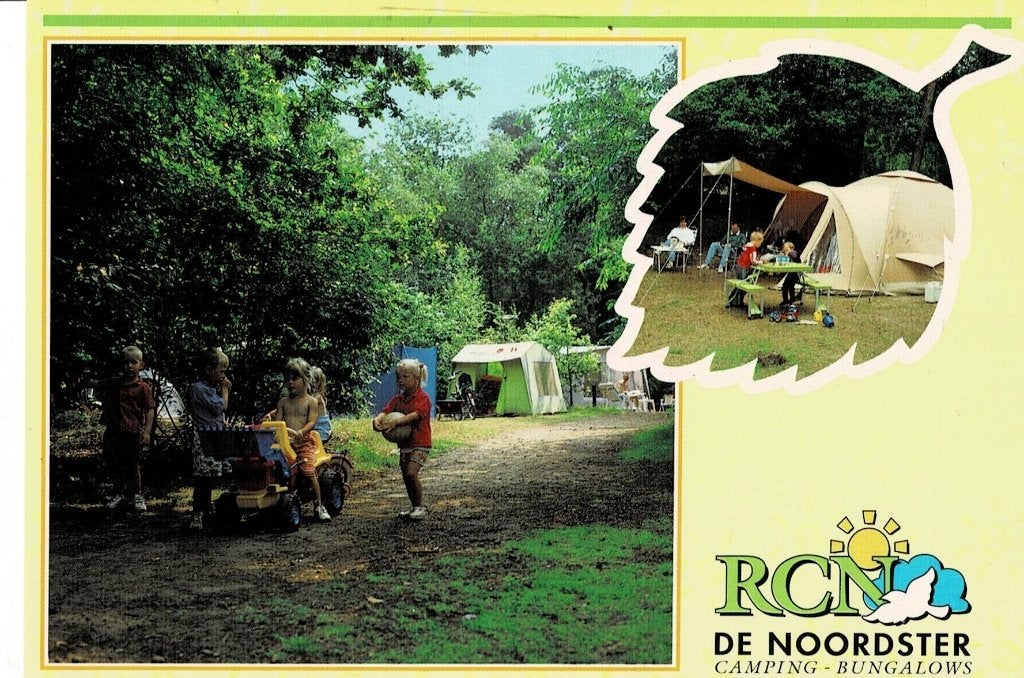 Dwingeloo, de Noordster, Ophalen of Verzenden, Gelopen, Drenthe