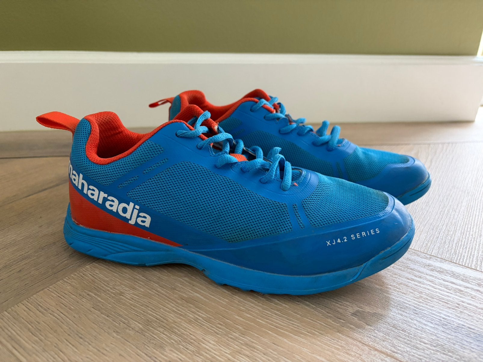 The Indian Maharadja hockey schoenen outdoor maat 38, Ophalen of Verzenden, Gebruikt, Schoenen