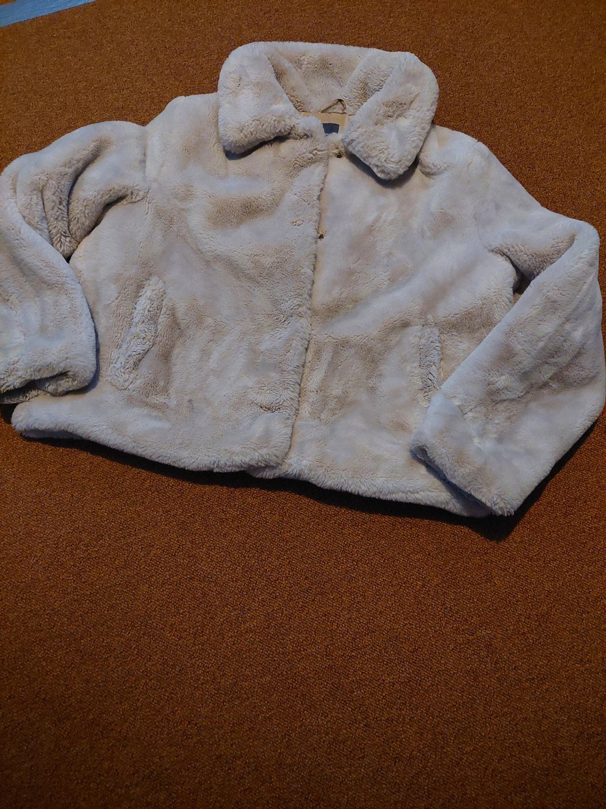 Teddy jas, Kleding | Dames, Jassen | Winter, Maat 38/40 (M), Primark, Wit, Ophalen of Verzenden