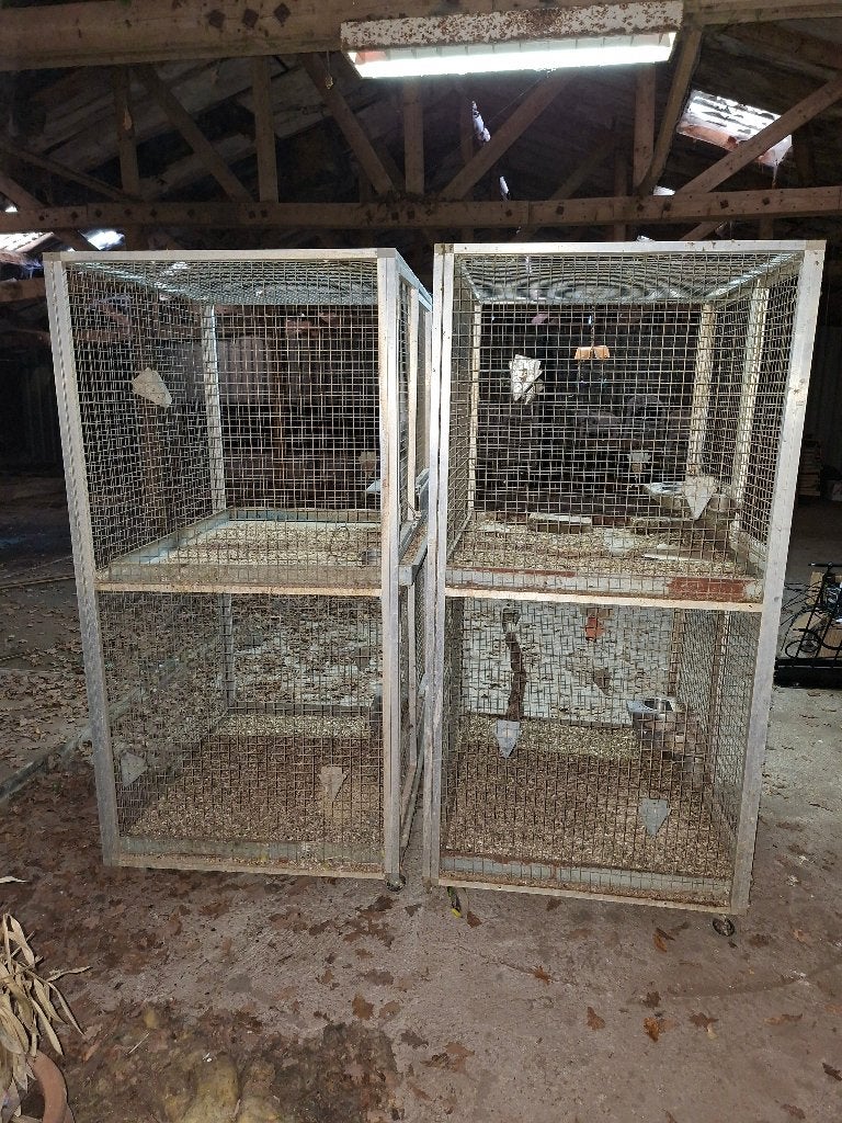 grote metalen kooien verrijdbaar 170 cm hoog, Ophalen, Gebruikt, Kooi, 90 cm of meer