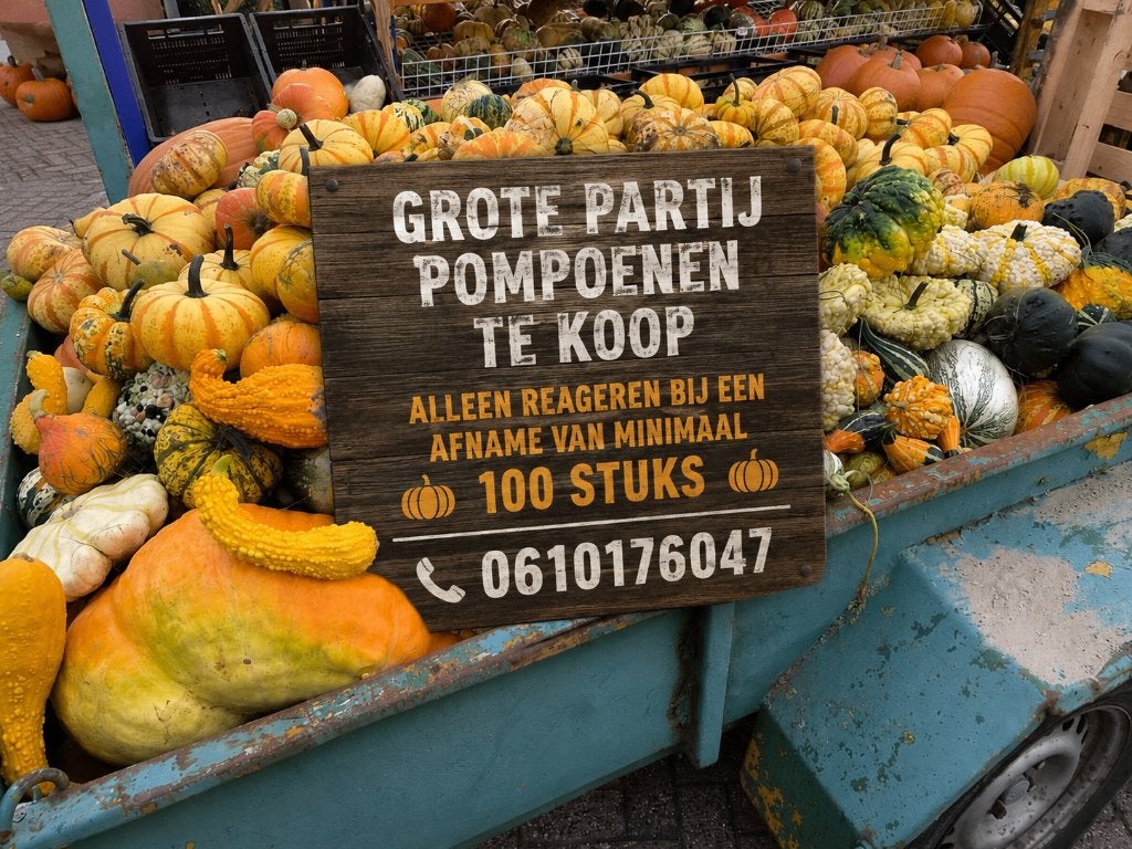 Grote partij pompoenen, Ophalen, Nieuw