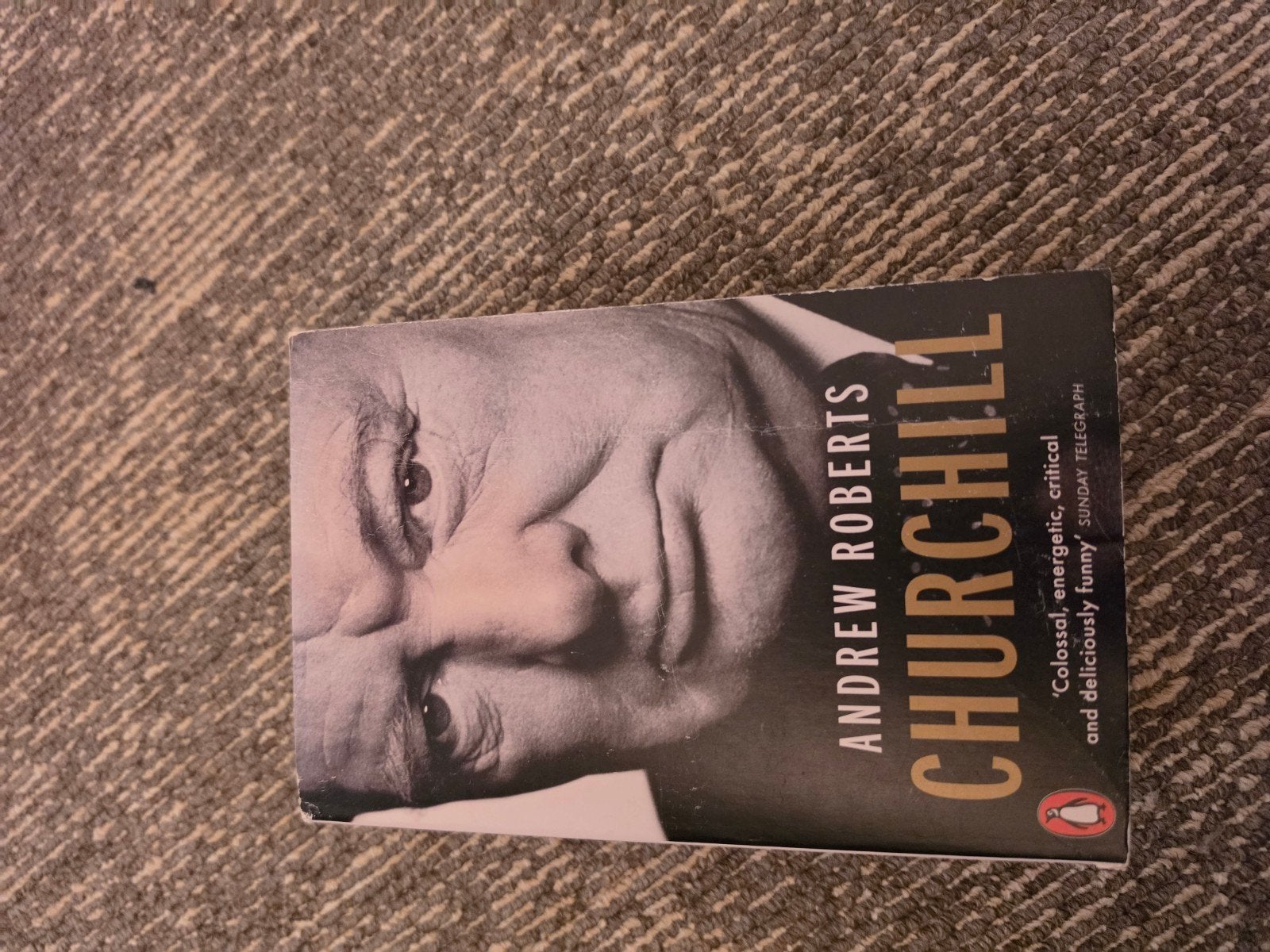 Churchill - Andrew Roberts (Engels), Ophalen of Verzenden, Gelezen, Andrew Roberts, Politiek