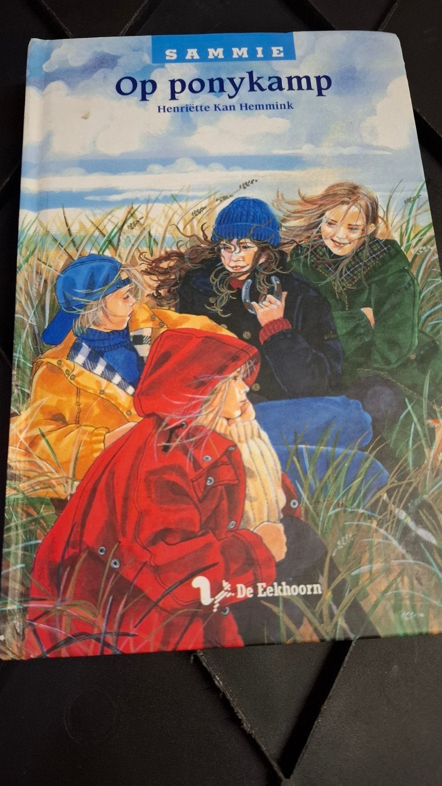 H. Kan Hemmink - Op ponykamp, Ophalen of Verzenden, Zo goed als nieuw, H. Kan Hemmink