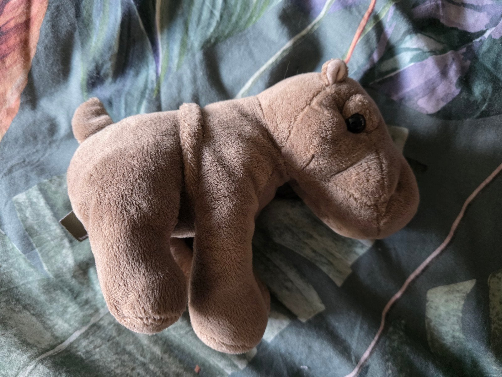 knuffel nijlpaard, Overige merken, Overige karakters, Overige typen, Ophalen of Verzenden