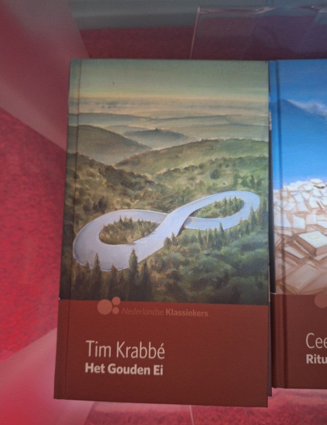 AD Nederlandse klassiekers 20 boeken, Boeken, Ophalen of Verzenden, Gelezen, Nederland