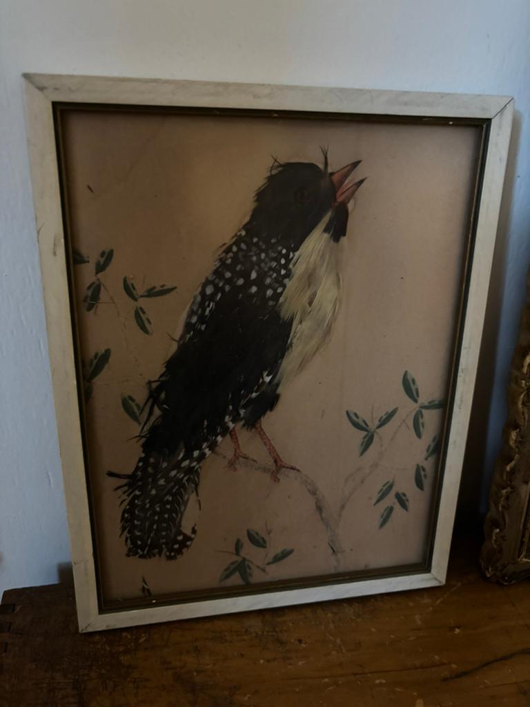 Vintage lijstje met vogel van veertjes, Ophalen of Verzenden