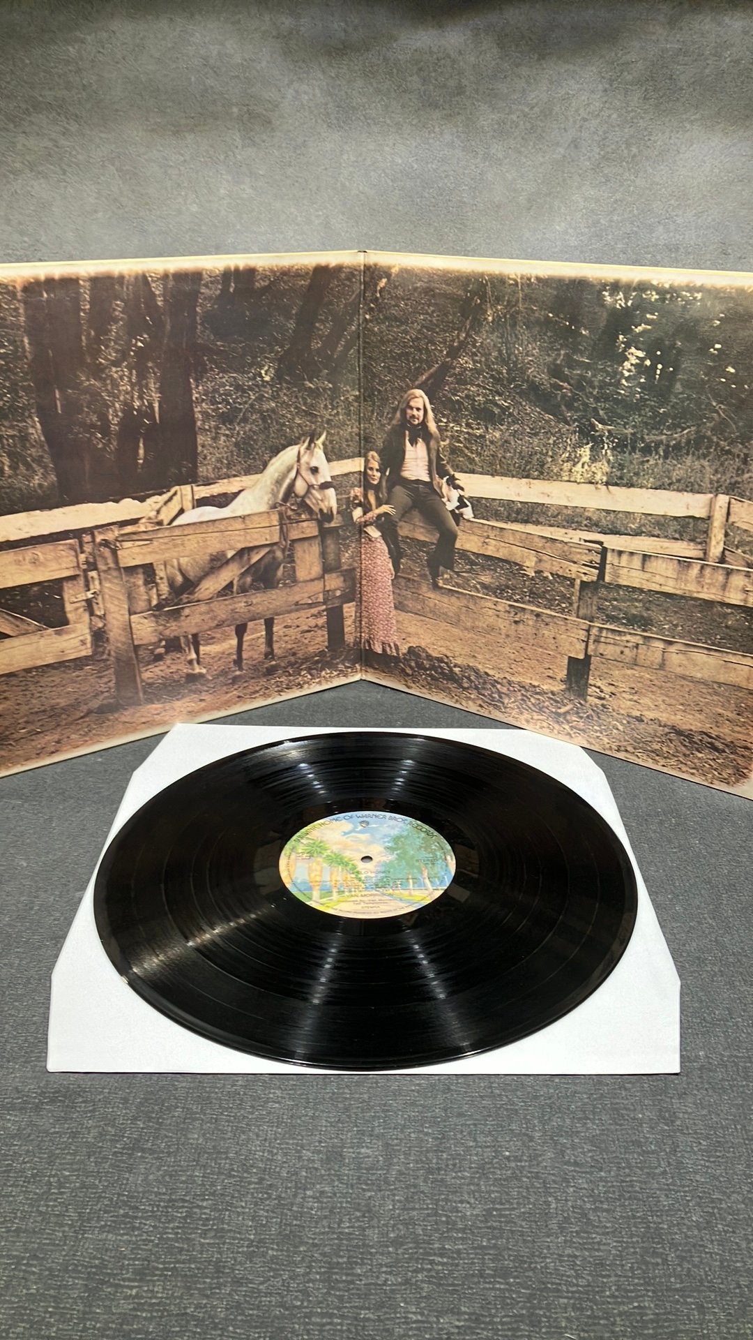 Van Morrison — Tupelo Honey, LP, Blues Rock, Ophalen of Verzenden, 12 inch