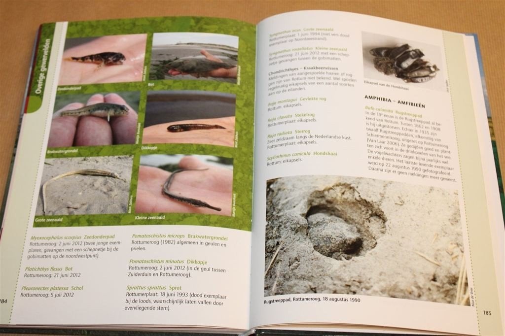 Fauna van Rottum — Dierenleven op de Waddeneilanden, Ophalen of Verzenden, Zo goed als nieuw, Overige diersoorten
