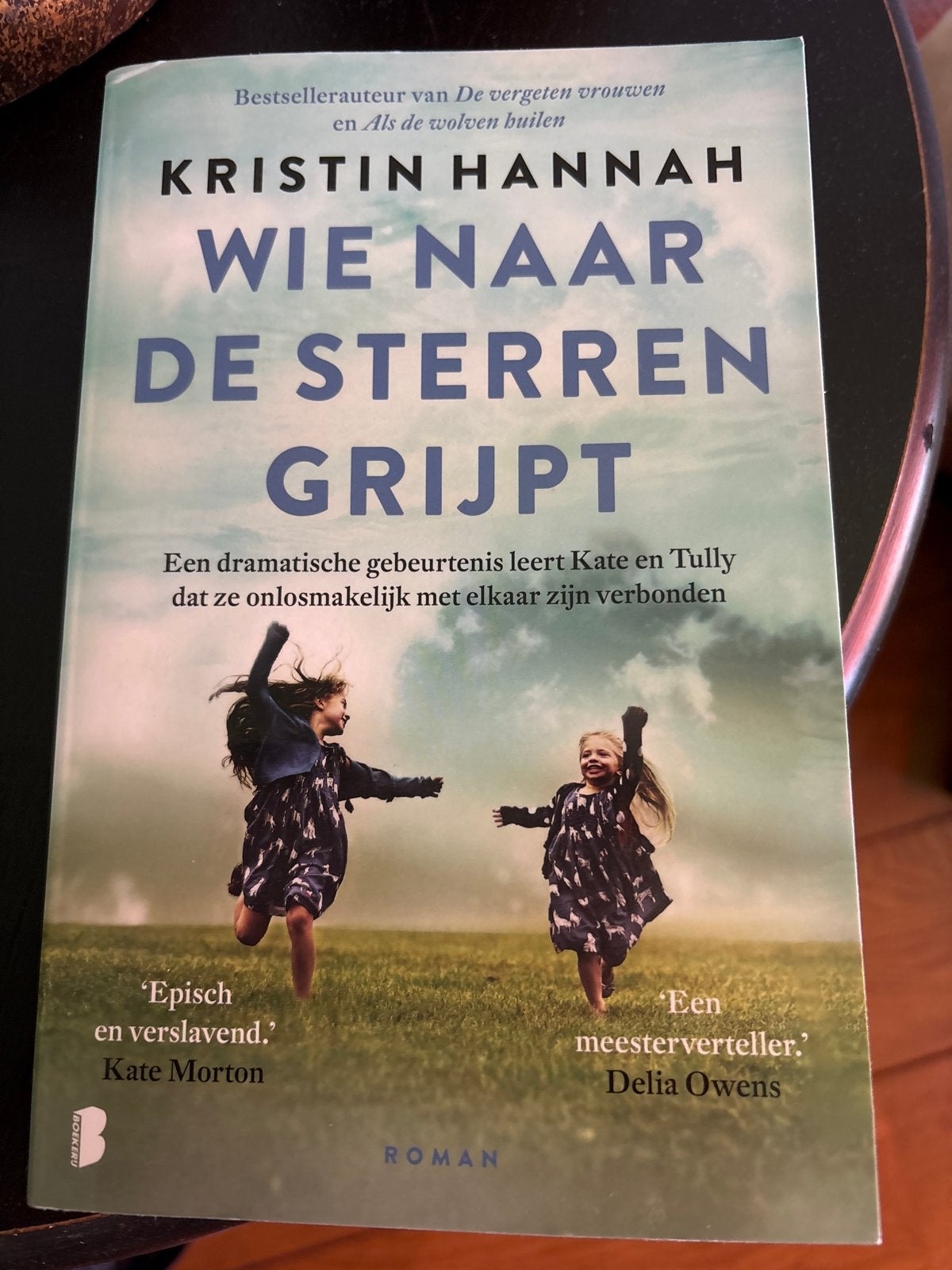 Wie naar de sterren grijpt - Kristin Hannah, Ophalen of Verzenden, Gelezen, Nederland