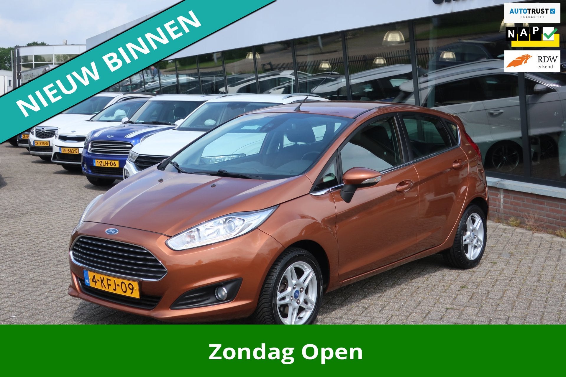 Ford Fiesta 1.0 EcoBoost Titanium. 2eEigenaar_PDC_NAP_LED_CR, Voorwielaandrijving, Euro 5, Zwart, Bruin