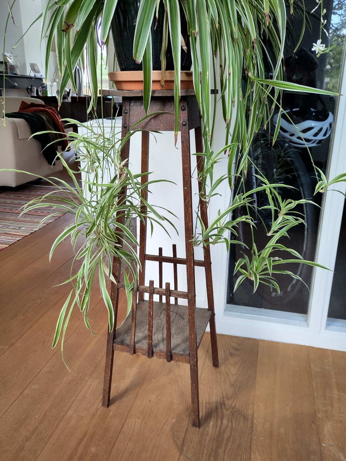 Graslelie stekjes, Tuin en Terras, Ophalen of Verzenden
