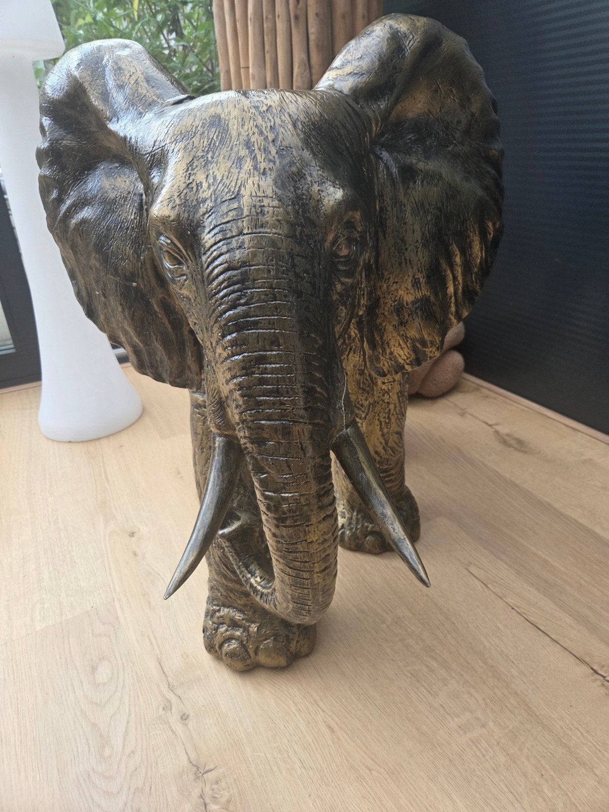 ONZE OLLIE ZOEKT EEN NIEUW HUISJE, Ophalen