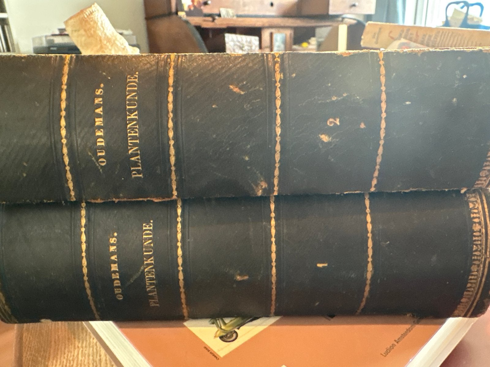Leerboek der Plantenkunde - C.A.J.A. Oudemans (2 delen), Ophalen